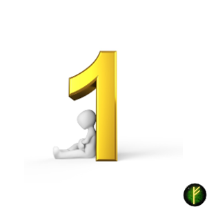 оккультные науки/Счастливое число для каждого знака Зодиака Часть I/Один