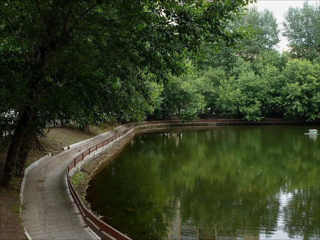 На берегу пруда