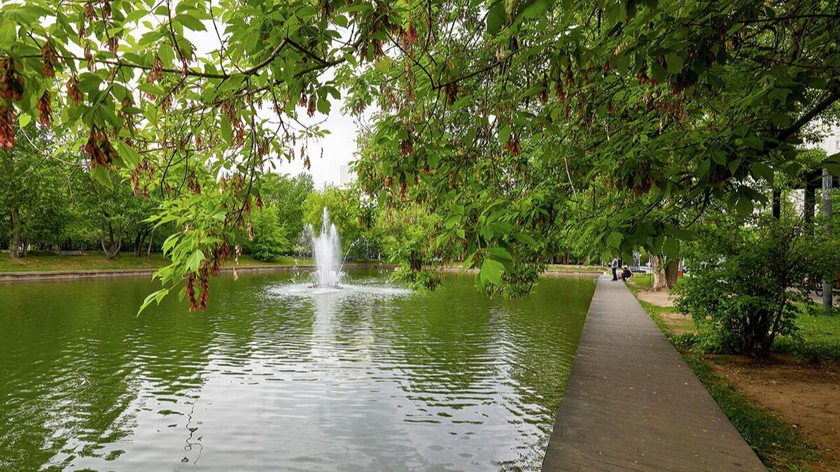 На Северо-Востоке Москвы началась реконструкция гончаровского пруда