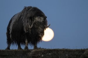    Фото: Виталий Горшков