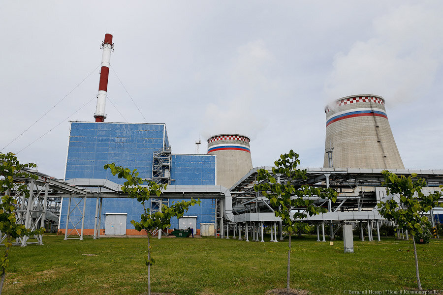Фото: Виталий Невар / Новый Калининград