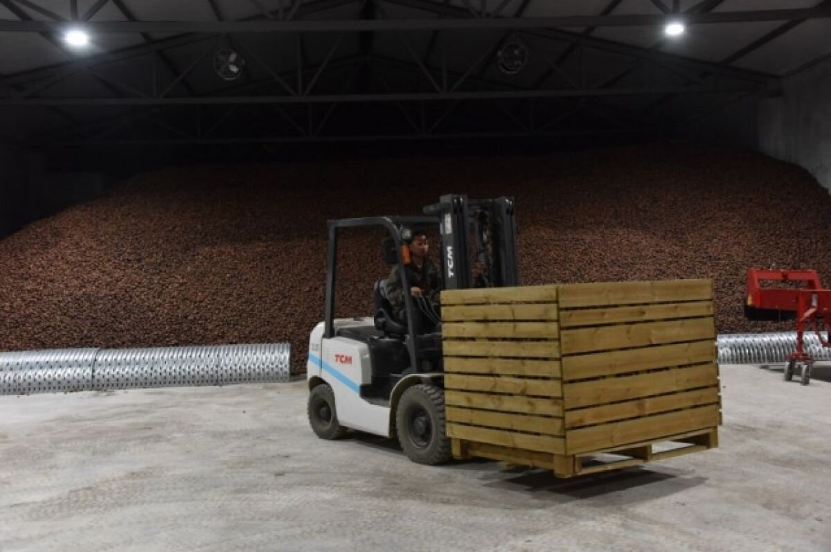    По поручению губернатора: число овощехранилищ в АПК Урала выросло на 25%