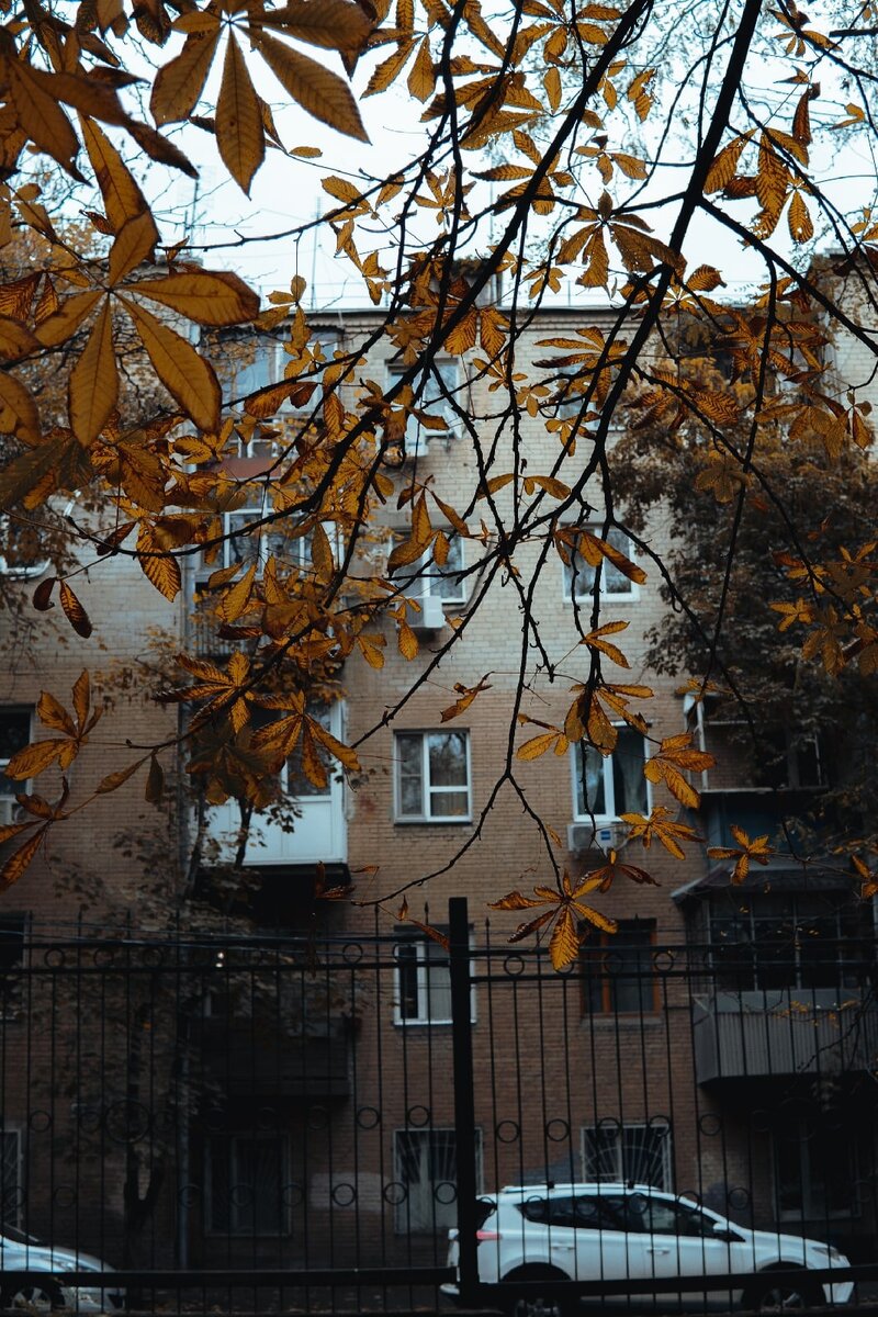 Ростовский дворик. Фотохудожник Андрей Цыганков