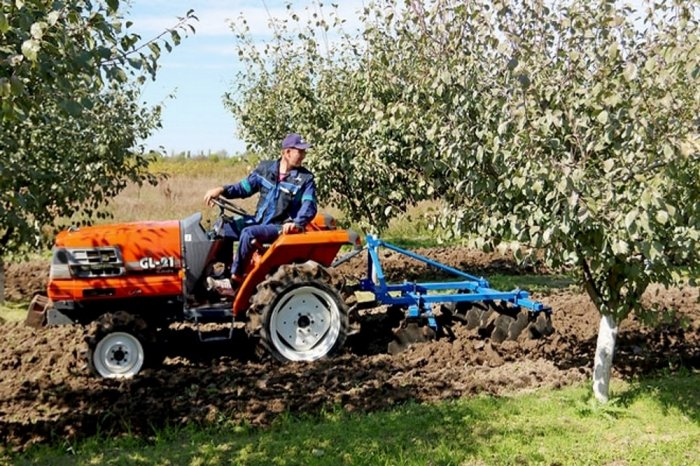 Источник фото: gardenunion.com.ua