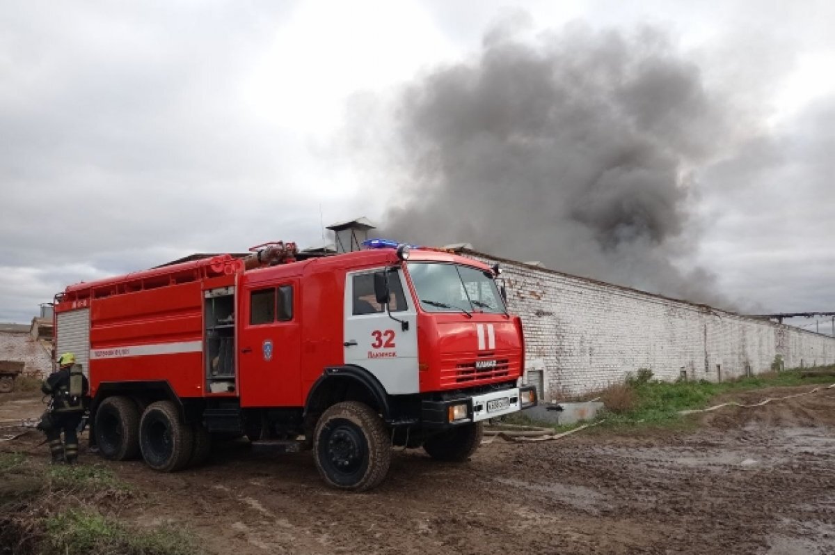    В Собинском районе МЧС ликвидировало крупный пожар на складе птицефабрики