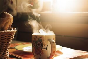    фото: unsplash.com Вера Беляева