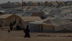    Фото: profile.ru Диана Аванесян