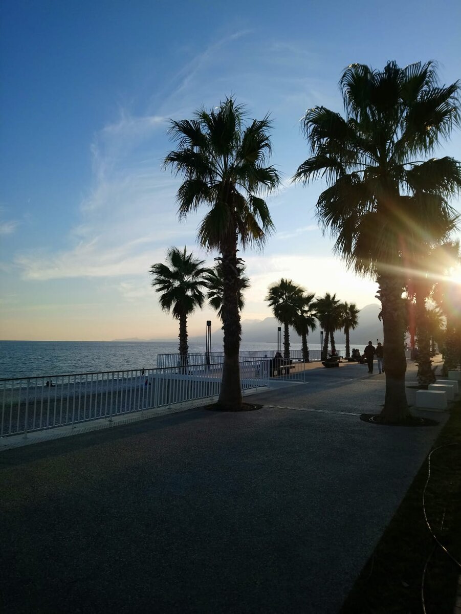 набережая коньялты