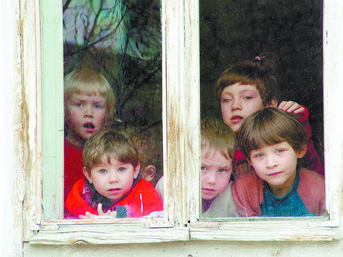 Фото взято отсюда https://om-saratov.ru/files/pages/39696/1471503349general_pages_18_august_2016_i39696_v_volske_v_priute_dlya_nesov.jpg