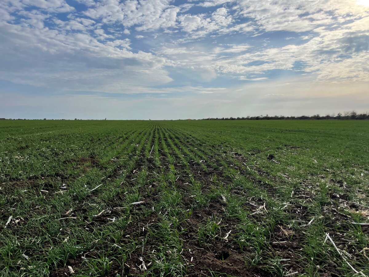 Джанкойский район