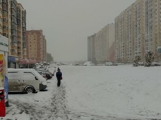     Елена Балуева / МК в Новосибирске