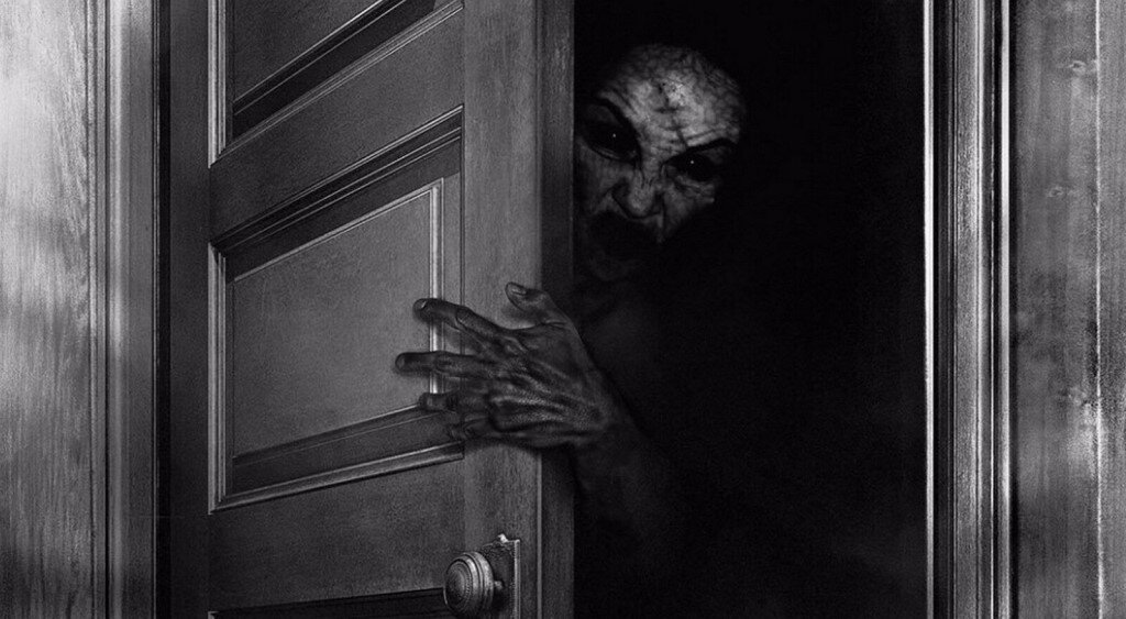 Изображение взято из открытых источников интернета. 