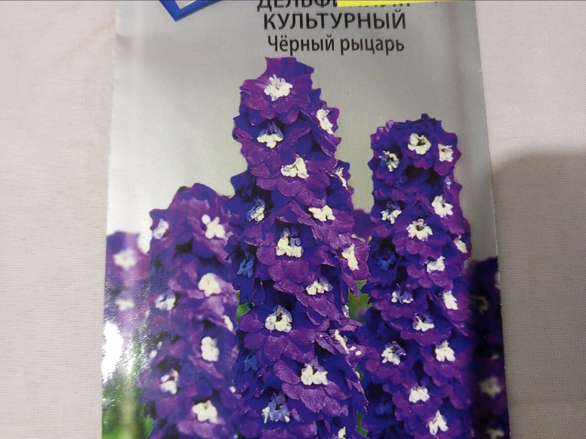 Какие семена цветов готовлю на следующий сезон? | Зелёная стрекоза 🌼🌼🌼 ...