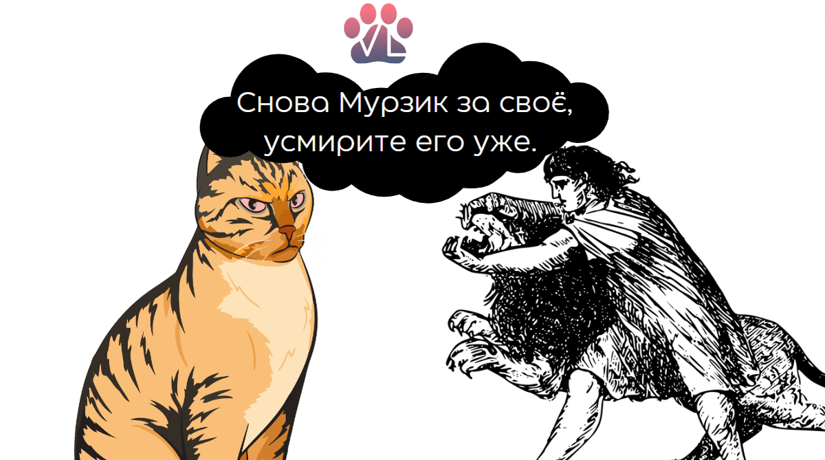 Что делать, если кошки поссорились? | путь к примирению кошек |  Ветеринарный диетолог vetLIFE | Дзен