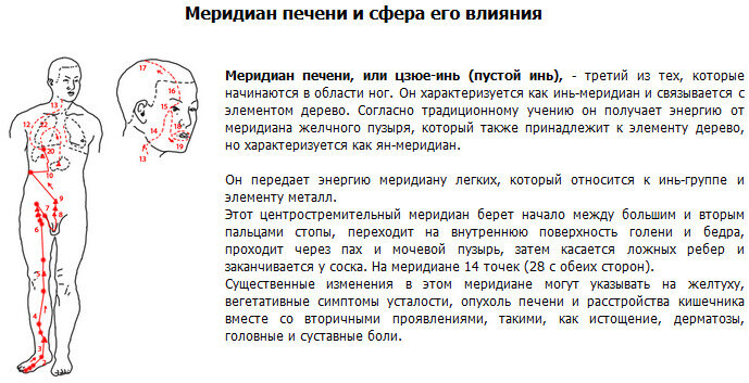 Меридиан желудка точки расположения и время активации