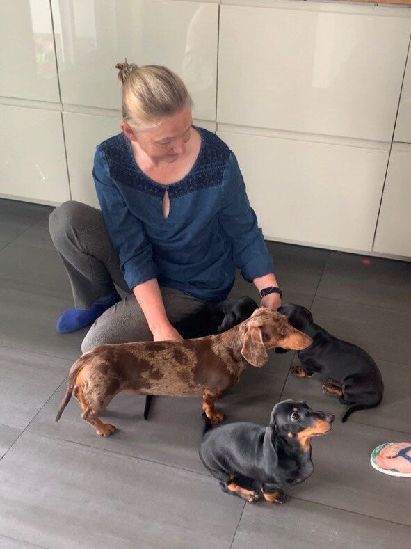 Сколько щенков на этом фото?