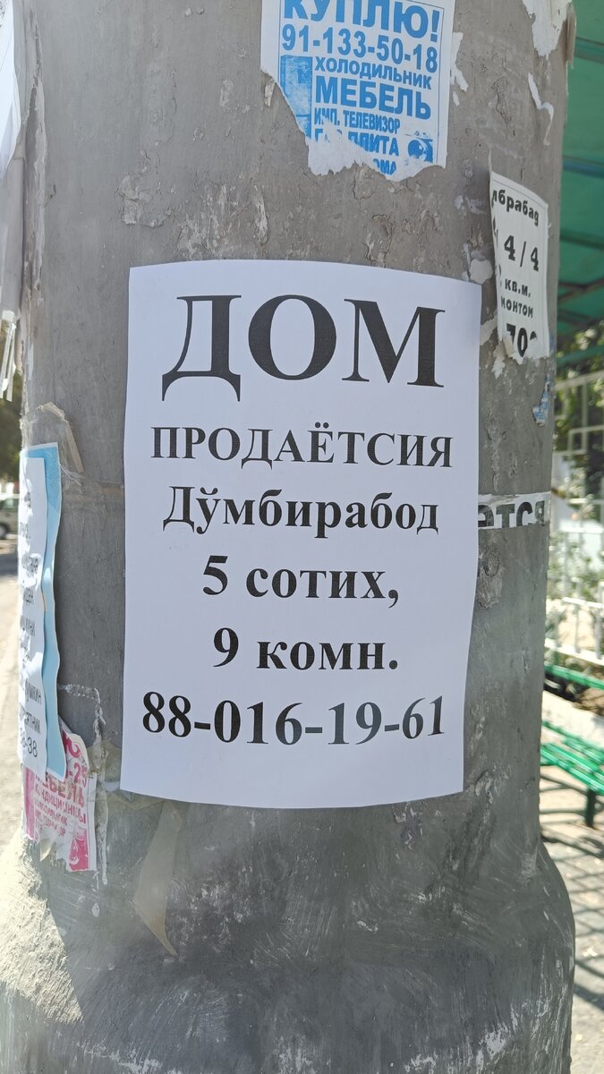 Непереводимые местный диалект 