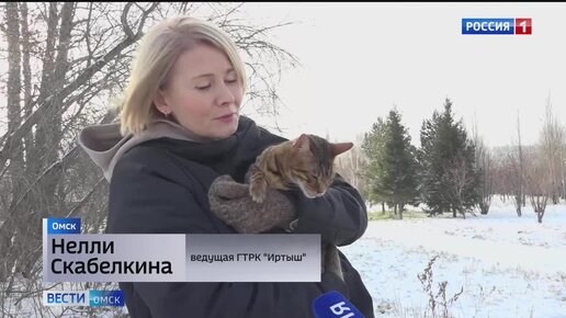 Вести кошку. Нелли Скабелкина Омск вести