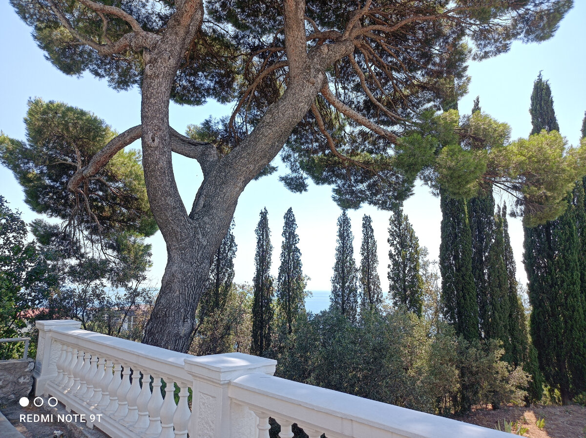 Парк Юсуповского Дворца