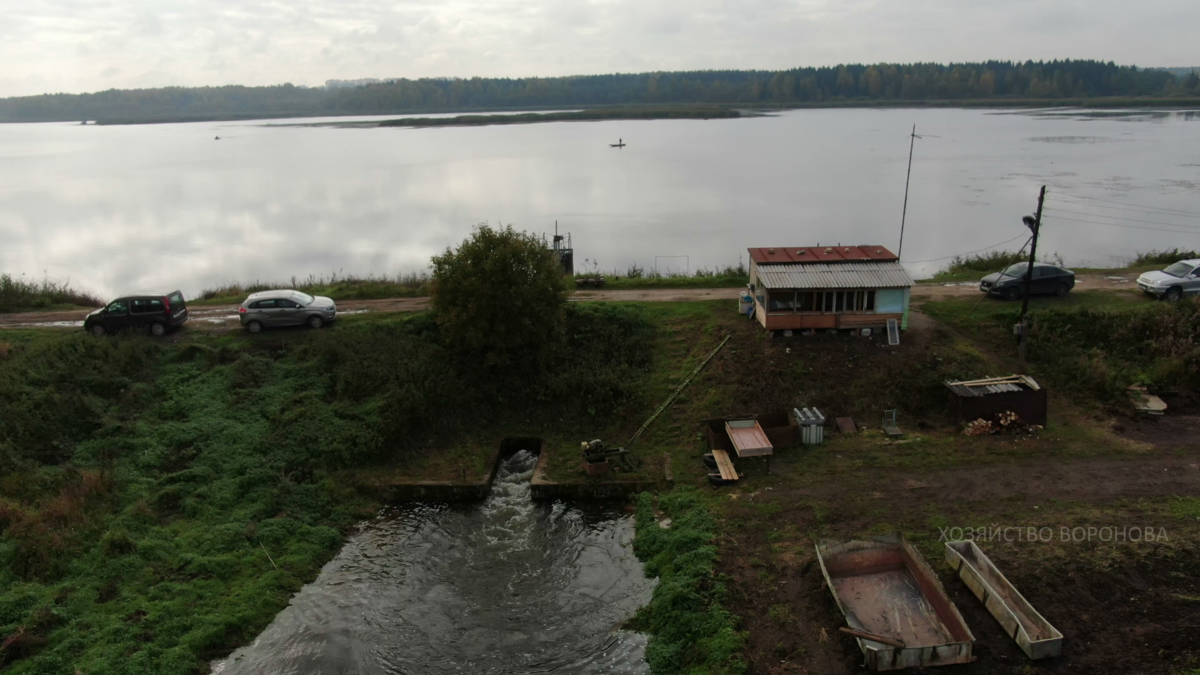 пруды