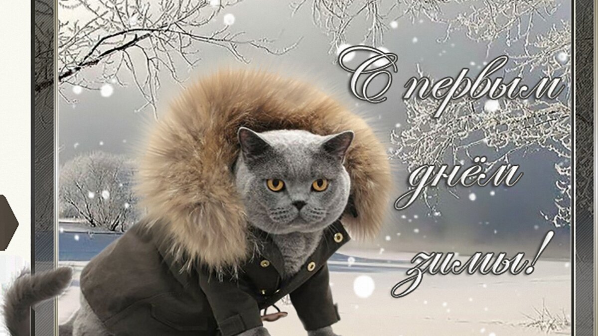 Утепляемся, ага.