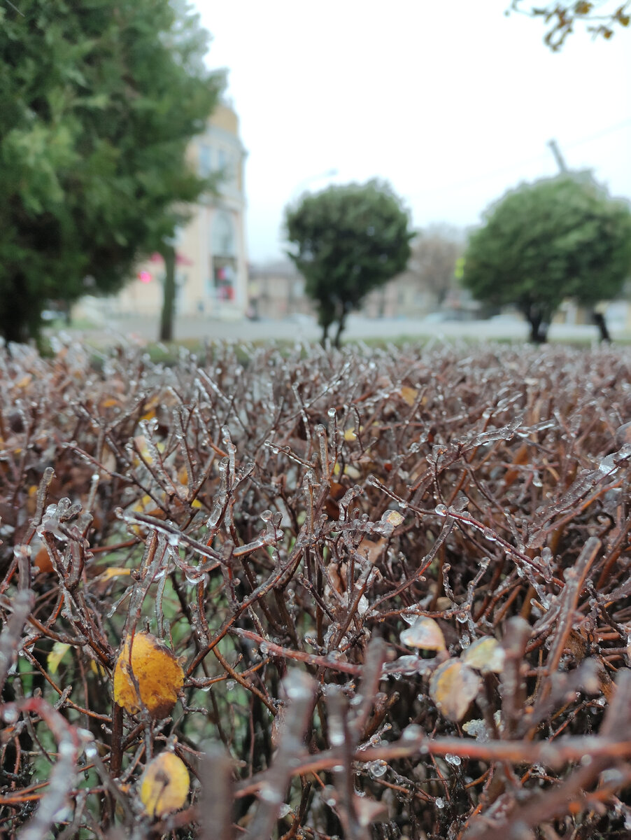 Пятигорск (декабрь 2022 года)