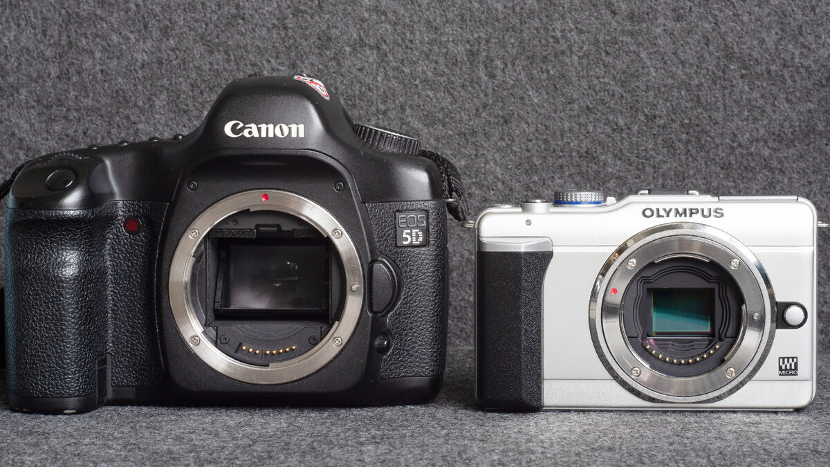 Canon EOS 5D и Olympus E-PL1