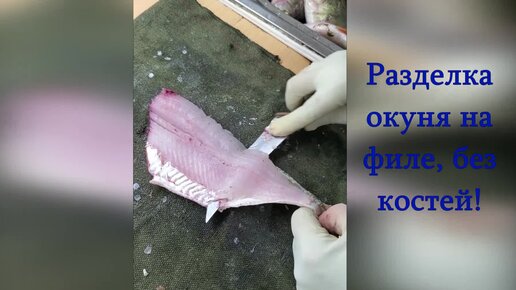 Филе окуня без костей. Быстрая и легкая разделка крупного окуня.