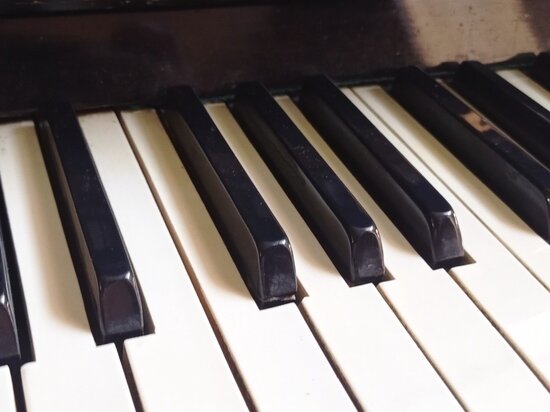     Фото: Вячеслав Коротин