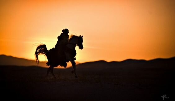Записки скитальца. Часть 6