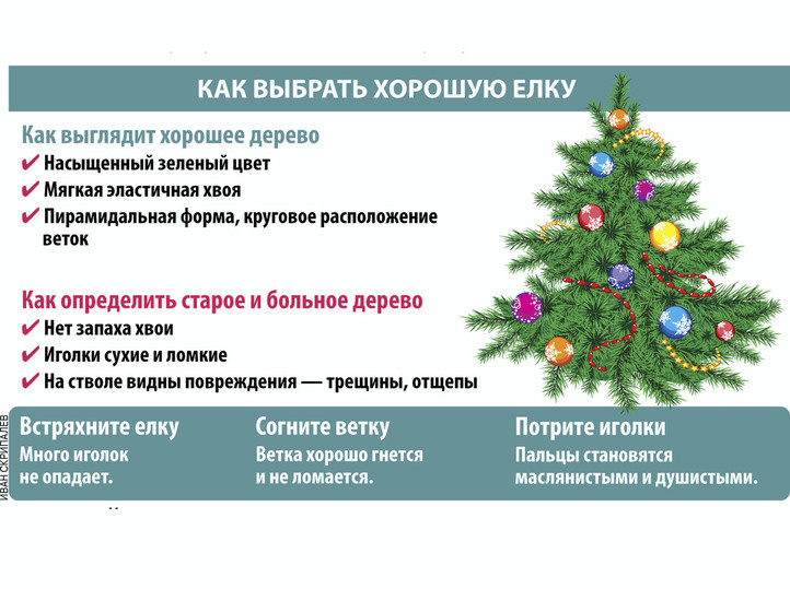   Иван Скрипалев