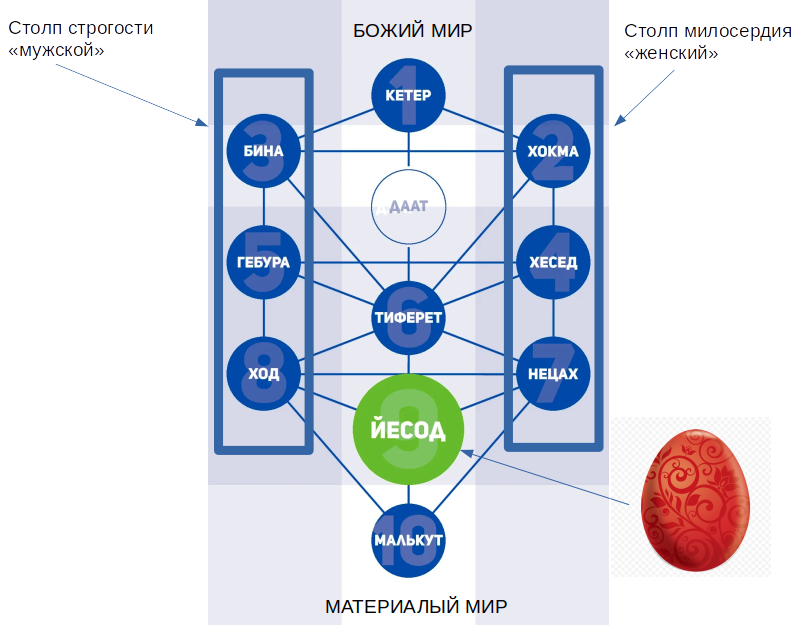 Древо Сефирот. Процесс творения идет сверху вниз, где Кетер это божий мир, а Малькут это материальный мир, а Йесод - Яйцо это последний, готовый план творения.