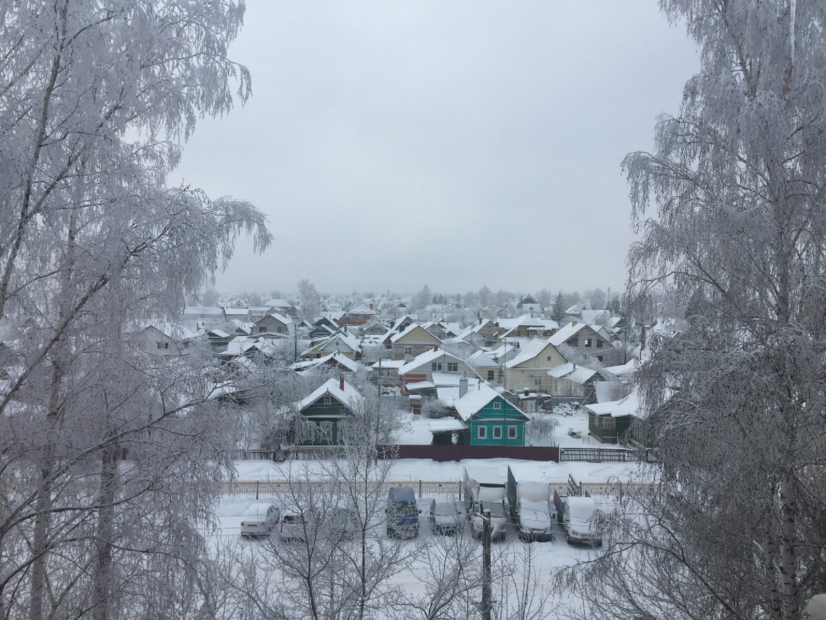  Родина в снегу