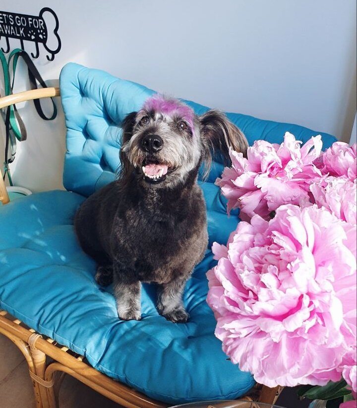 Сладкий пирожок