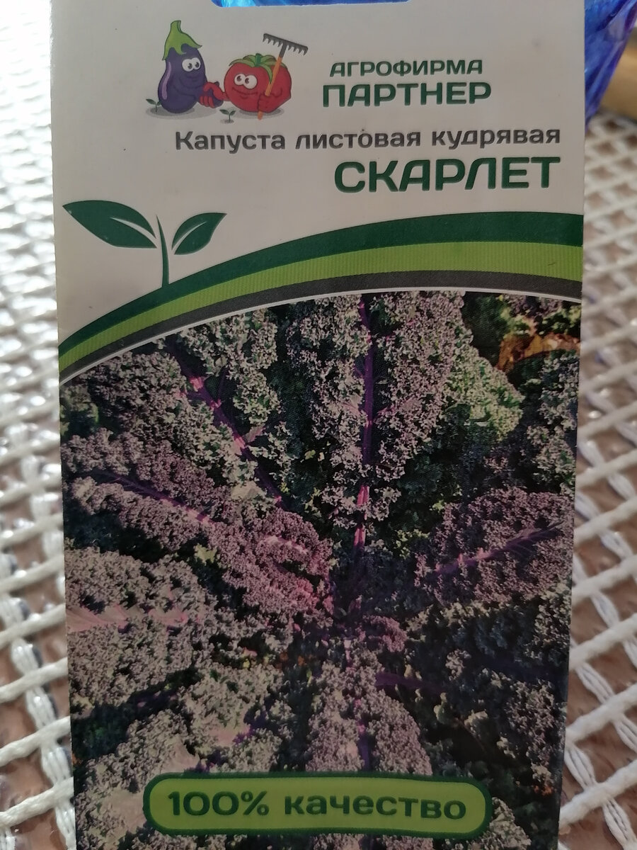 Капуста кейл бывает разнообразных форм и цветов. Всех их объединяет то, что они очень декоративные и при этом не образуют кочан. Такой капусте можно легко найти место на любой клумбе, если у вас уже нет места на грядках. Также можно использовать, как контейнерную культуру, и украсить этим растение зону патио.
