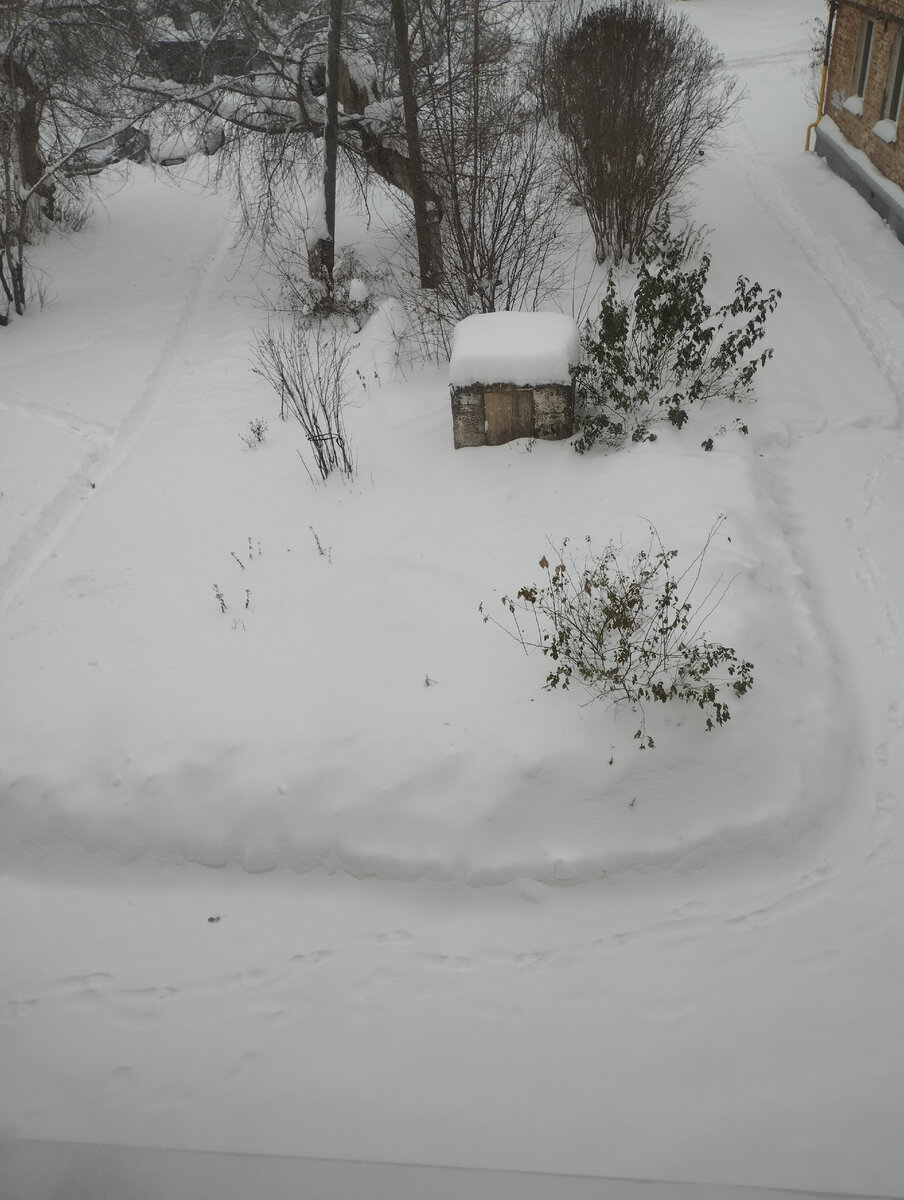 Фото автора. 