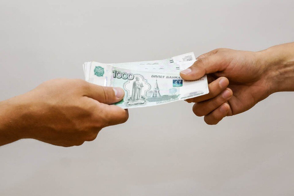     Материалы о незаконном доходе переданы в правоохранительные органы Светлана МАКОВЕЕВА