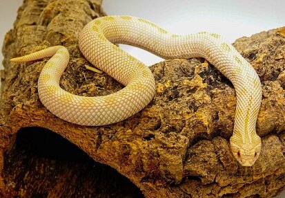 Изображение из открытого источника. Unsplash