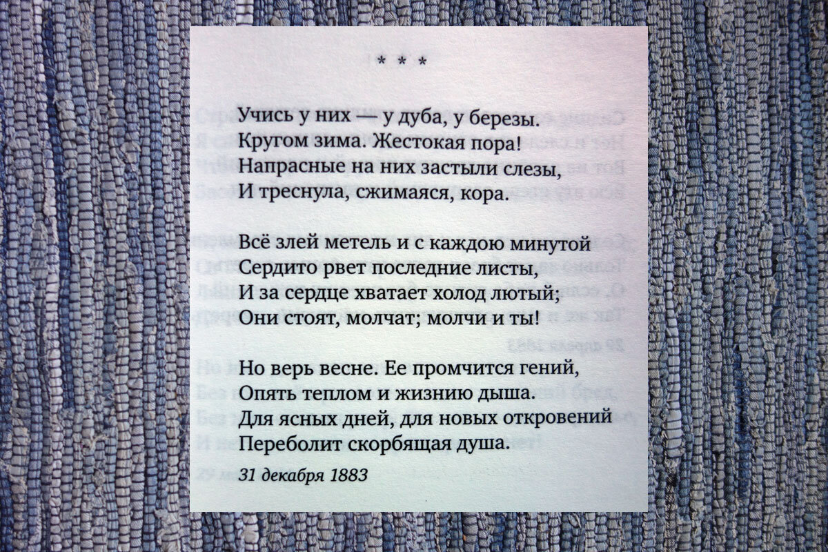 Анализ стихотворения А. А. Фета «Учись у них – у дуба, у березы»