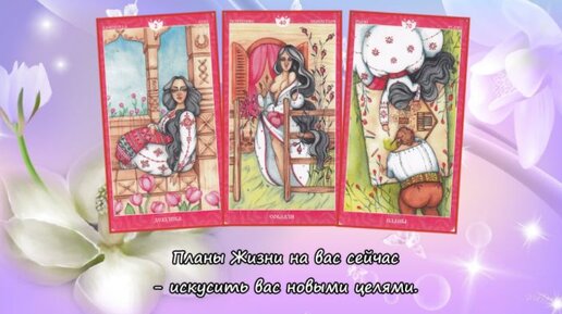 оракулы дзене сивиллин