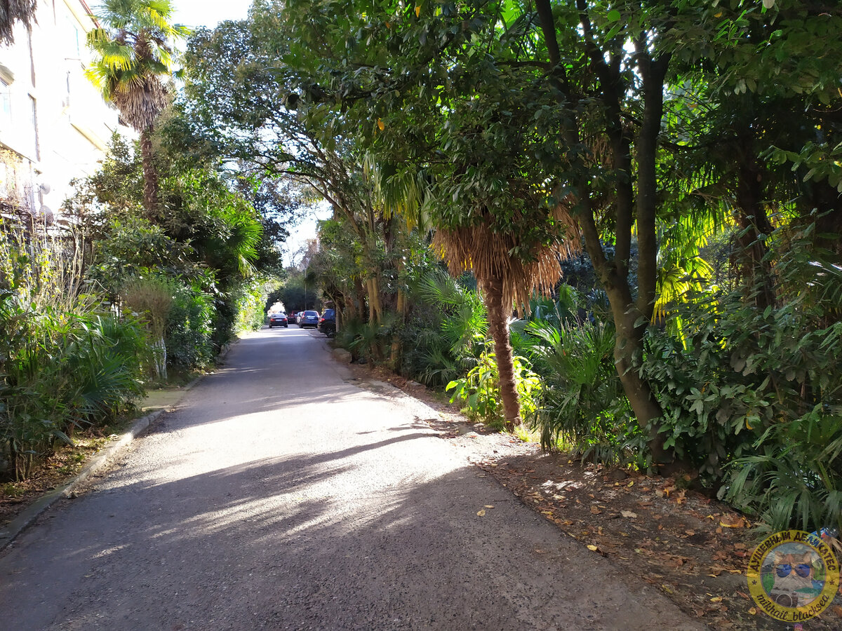 ДЕКАБРЬ 2022 Стремление переехать в Сочи в принципе понять можно =)