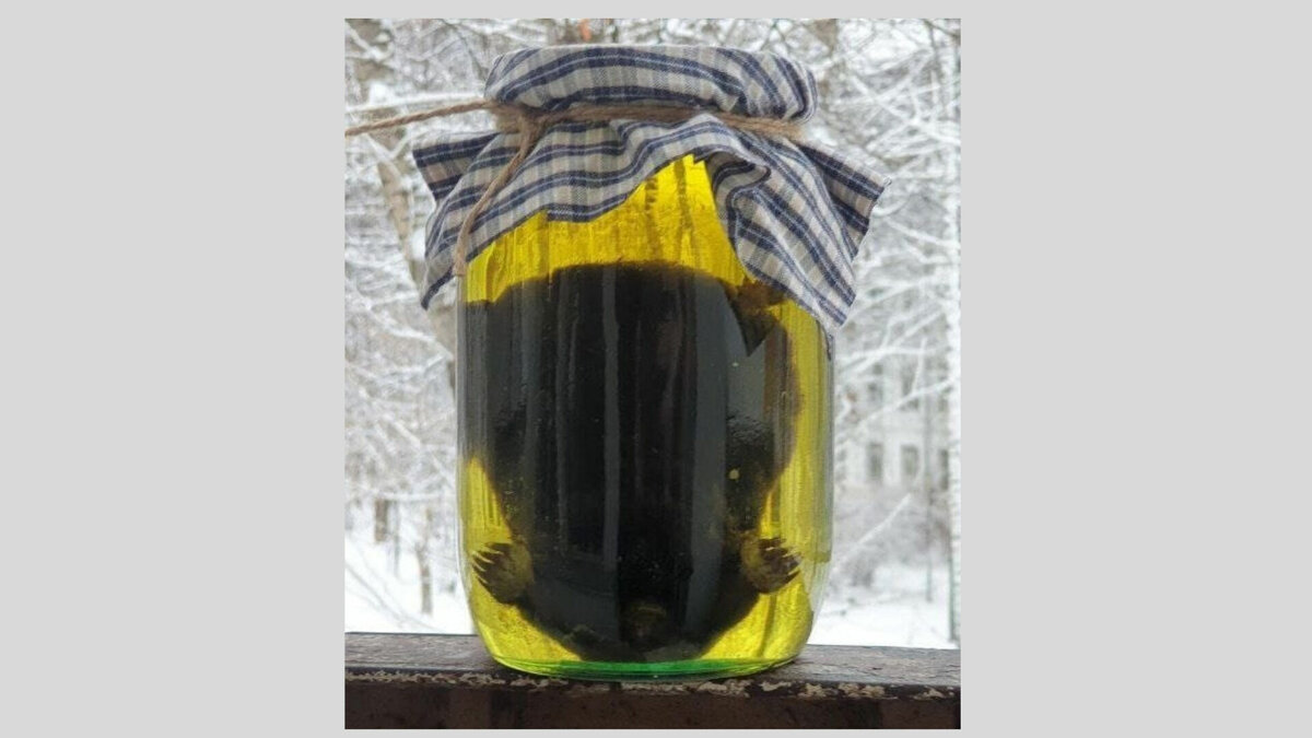     В Роспотребнадзоре рассказали об опасности употребления кротовухи – спиртовой настойки на тушке мертвого крота. По данным ведомства, в интернете активно обсуждаются свойства этого напитка.