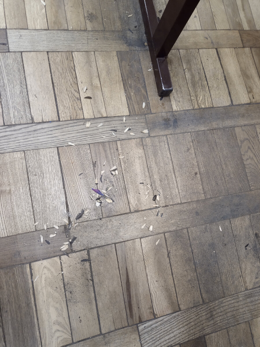 Фото автора.