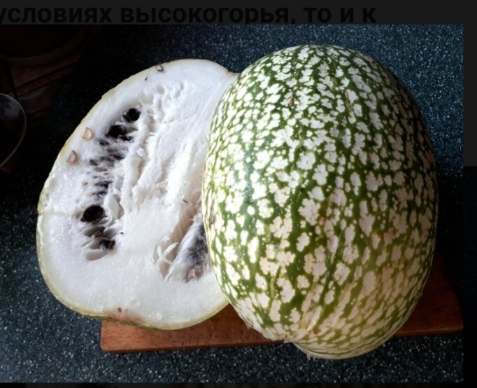 Фиголистная тыква