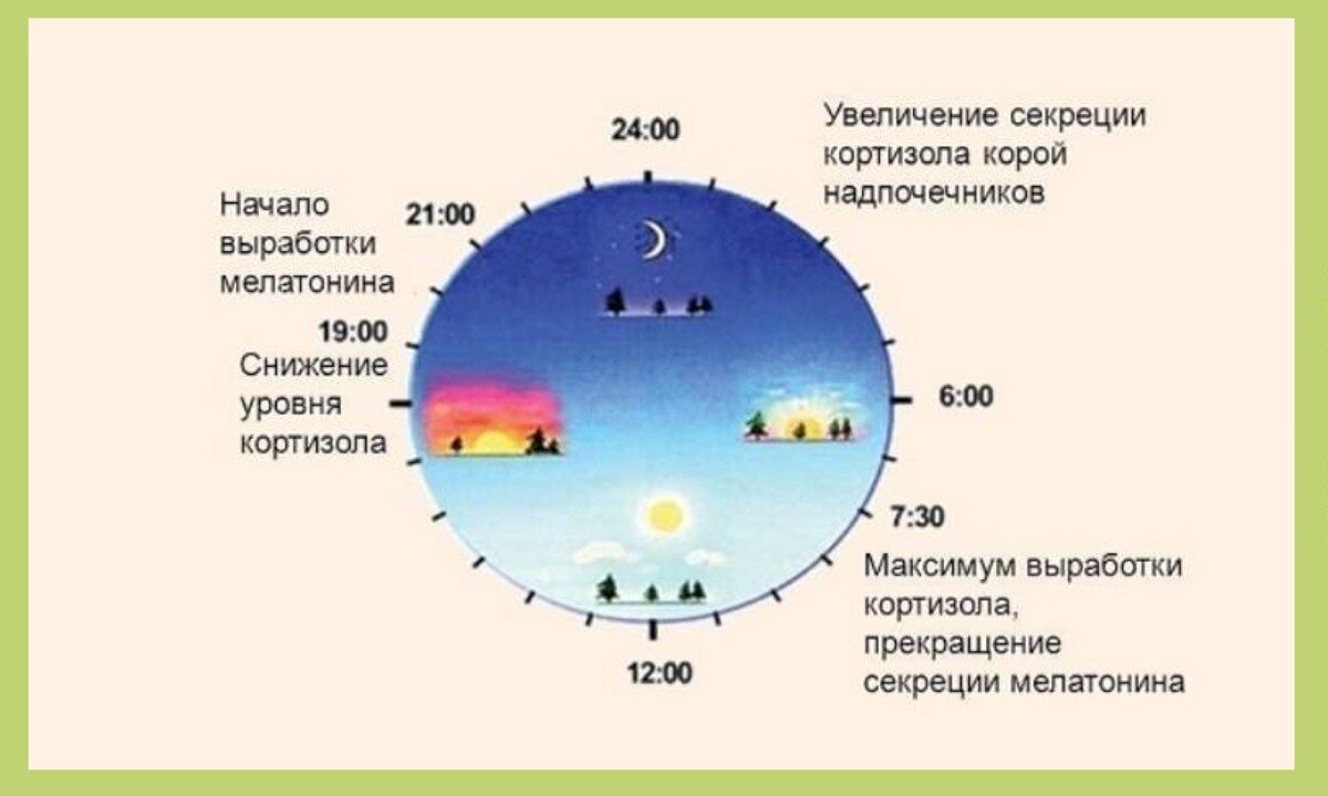 Влияние времен года на здоровье человека. Влиять на время. Время воздействия. Влияние времени на человека.