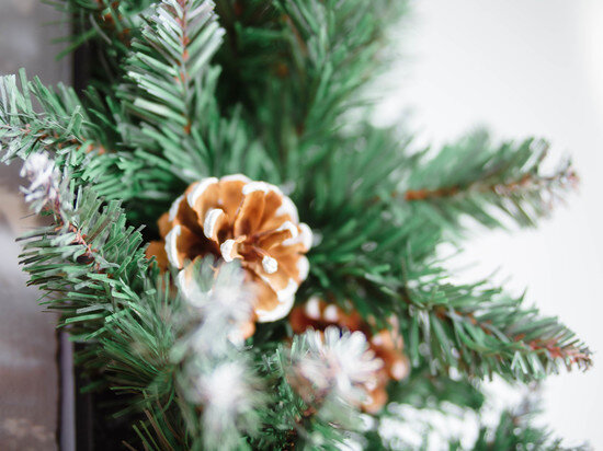     Где продают живые ели и сосны на Новый год 2023 в Хабаровске / Ольга Григорьева