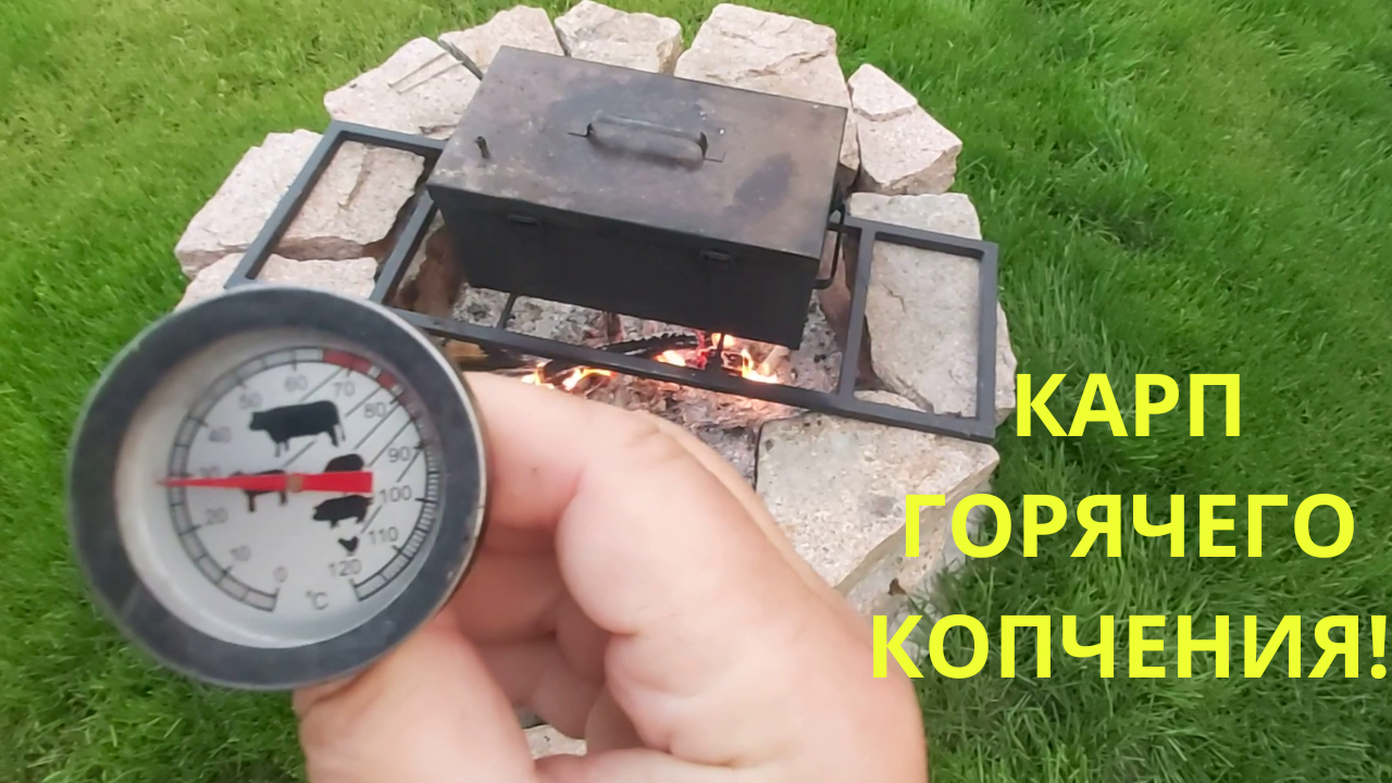 Копченый карп! Карп горячего копчения! Как закоптить карпа!