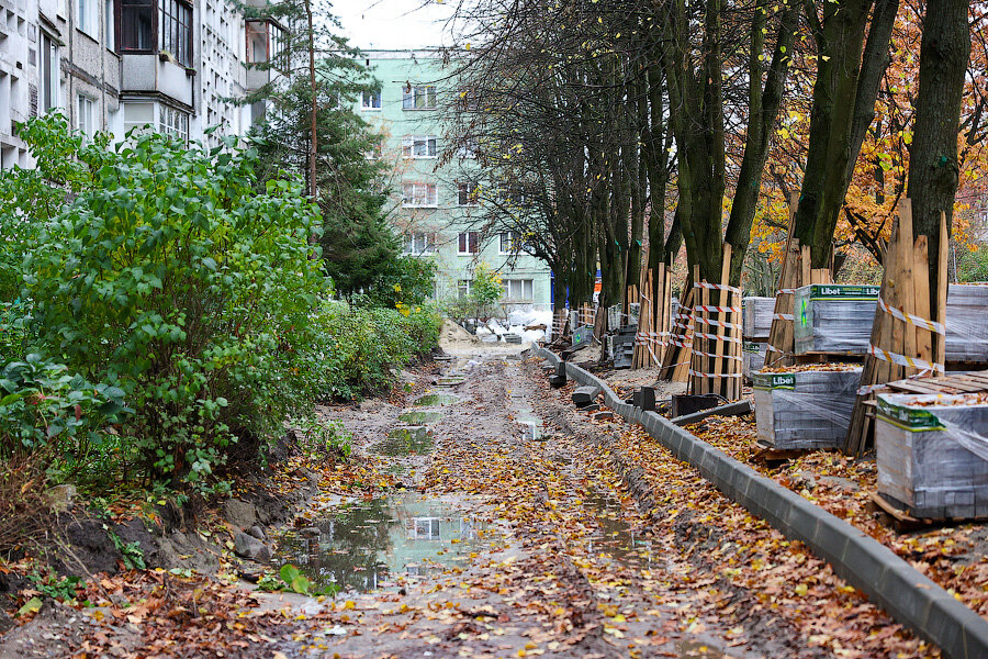 Фото: Виталий Невар / Новый Калининград