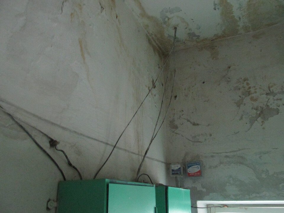     Фото Елены Федяшевой  из архива «КП»