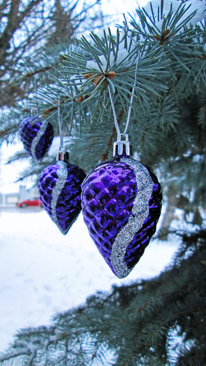 Главное в январе –  хорошее и позитивное начало года! Изображение unsplash.com